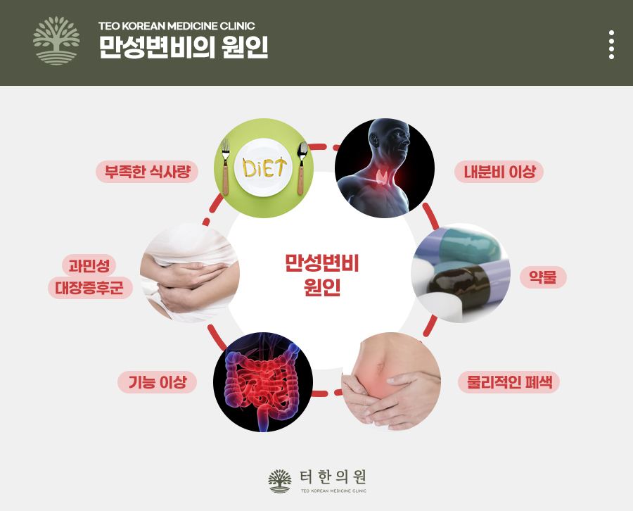만성변비의 원인과 재발 방지 방법을 설명한 안내문
