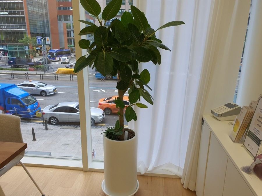 진료실과 대기 공간이 보이는 한의원 내부 사진