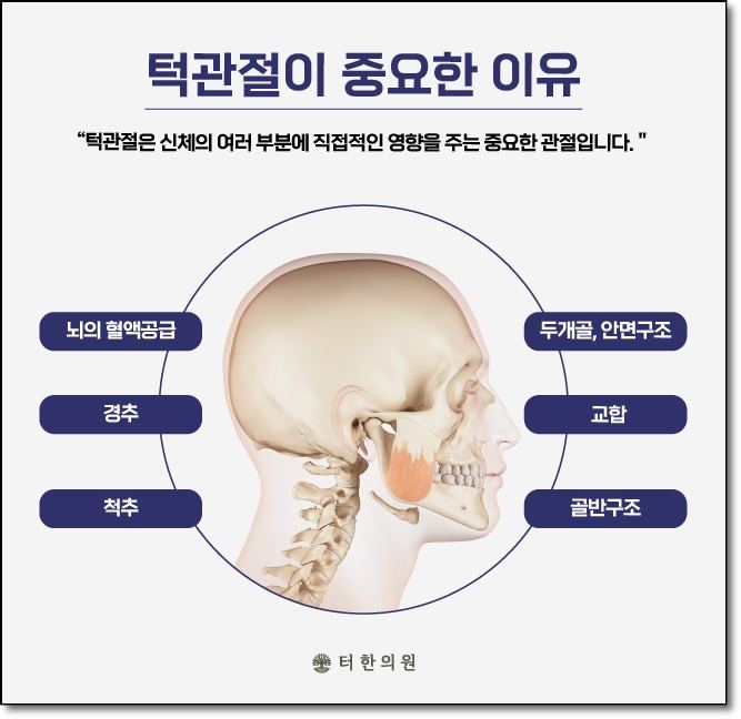 턱관절의 중요성을 설명하는 인체 그림