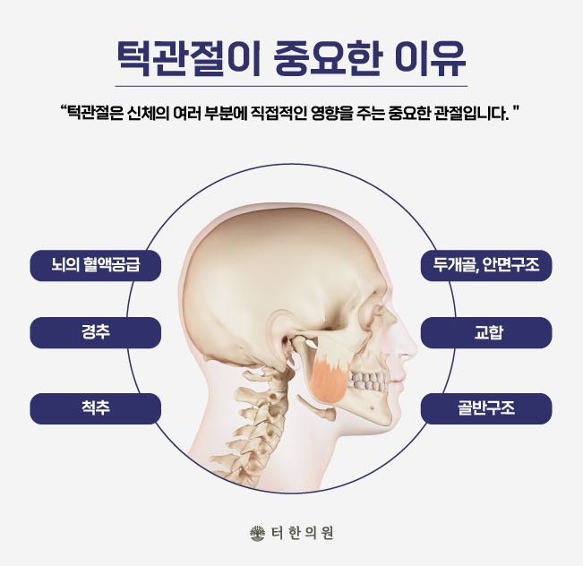 턱관절의 중요성을 설명하는 인체 그림